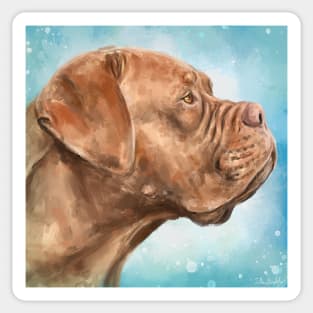 Close Up Painting of Dogue de Bordeaux on Light Blue Background Sticker